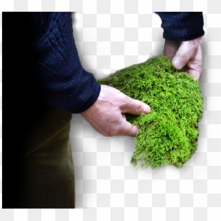 Our Raw Materials, HD Png Download