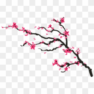 Pretty Clipart Cherry Blossom Tree - Cherry Blossom Branch Png, Transparent Png