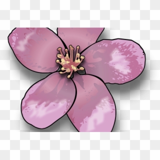 Free Cartoon Cherry Blossom Tree, Download Free Clip - Apple Blossom Clip Art, HD Png Download