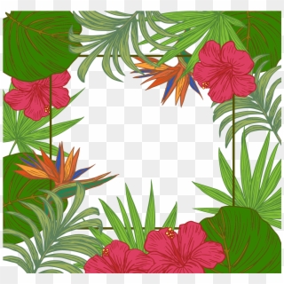 Jungle Clipart Boarder, HD Png Download