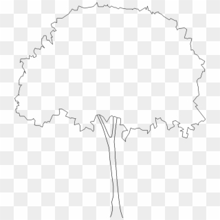 Trees - Line Art, HD Png Download