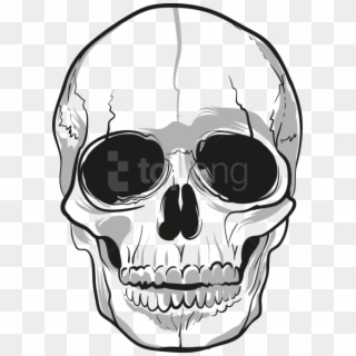 Free Png Download Skulls Clipart Png Photo Png Images - Png Transparent Skull Png, Png Download