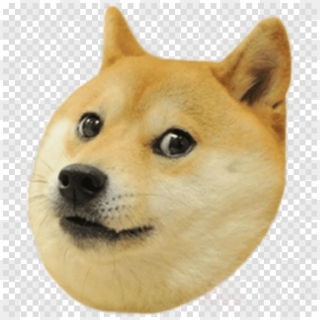Doge Transparent Clipart Shiba Inu Doge Snake - Doge Head Transparent Background, HD Png Download