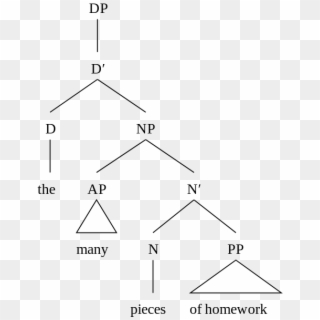 This Image Rendered As Png In Other Widths - Determiner Phrase Syntax Tree, Transparent Png