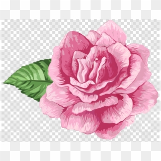 Flores Rosas Png Clipart Garden Roses Clip Art, Transparent Png
