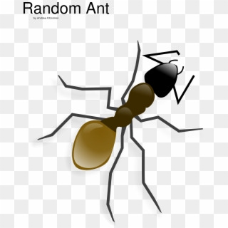 This Free Icons Png Design Of Ant 2, Transparent Png