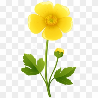 Free Png Download Yellow Flower Transparent Png Images - Buttercup Clipart, Png Download