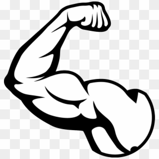 Muscle - Muscle Clipart Black And White, HD Png Download
