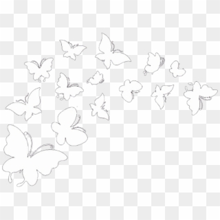 Butterflies Butterfly Overlay Iconoverlay Icon Overlays - Overlays For Editing, HD Png Download