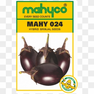 Brinjal Hybrid - Mahyco Seeds, HD Png Download