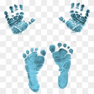 Clip Art Freeuse Stock Baby - Blue Baby Hands And Feet, HD Png Download