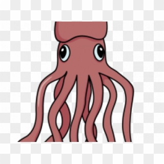 Drawn Squid Sea Creature - Drawing, HD Png Download