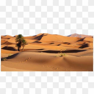 Desert Png Background Photo - Sahara Desert, Transparent Png