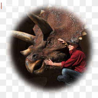 Musee Cinema Triceratops Dan Ohlmann - Visual Arts, HD Png Download