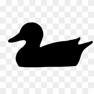 Duck Water Bird Silhouette - Duck, HD Png Download
