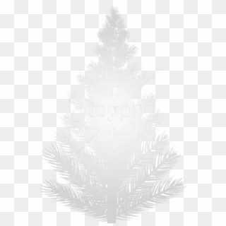 White Christmas Tree Png, Transparent Png