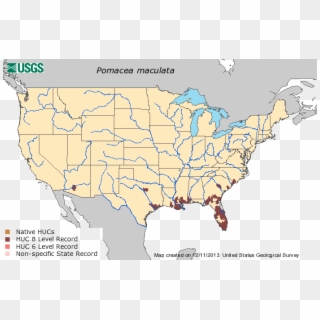 Distribution Of Pomacea Maculata In The United States - Bloody Red Shrimp Distribution Map, HD Png Download