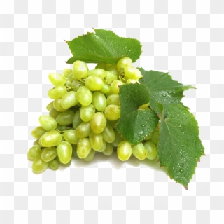 Green Grapes- Grape Png Image & Grape Clip Art - Grapes Images Hd Png, Transparent Png