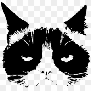 Grumpy Cat > - Asian, HD Png Download