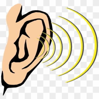Hearing Sound Sense Human Body - Clipart Sense Of Hearing, HD Png Download