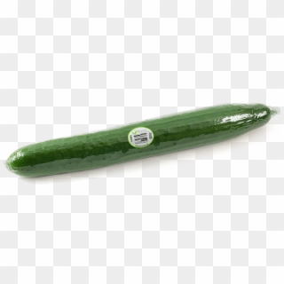 Seedless 1pack - Zucchini, HD Png Download
