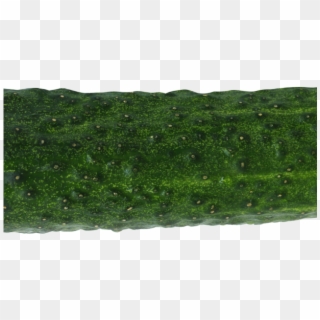 Cucumber Png Transparent Images - Liverwort, Png Download