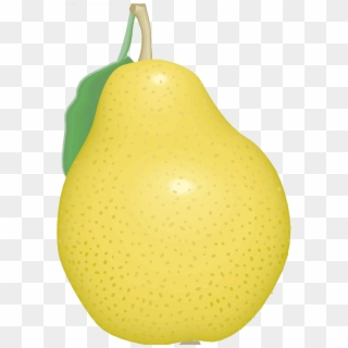 Pear Cartoon Pears Free Download Png Hq Clipart - Asian Pear, Transparent Png