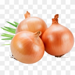 Onion Png Image - Fresh Onions, Transparent Png