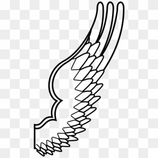 Drawing Of A Bird Wing Png, Transparent Png