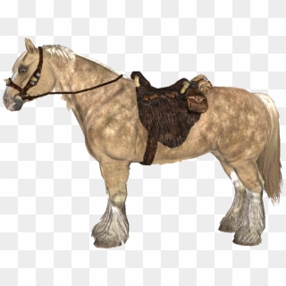 Frost - Skyrim Horse Transparent, HD Png Download