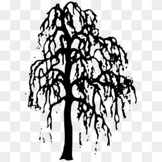 Willow Tree Clipart - Willow Tree Silhouette Png, Transparent Png