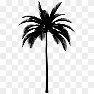 Download Png - Palm Tree Aesthetic Png, Transparent Png