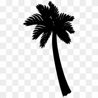 Download Png - Palm Trees, Transparent Png
