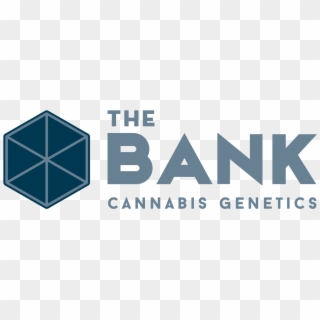 The Bank Cannabis Genetics - Graphic Design, HD Png Download