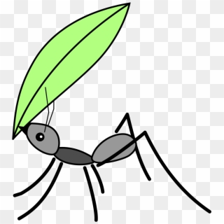 This Free Icons Png Design Of Acromyrmex, Transparent Png