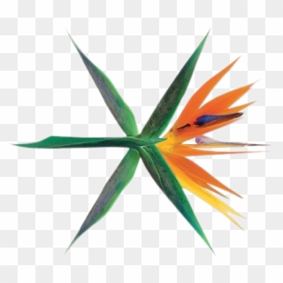 Exo Kokobop Logo Png - Exo The War Album, Transparent Png