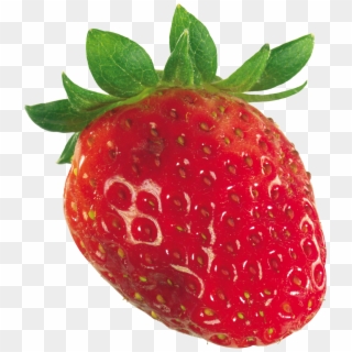 Strawberry Png Images - One Strawberry Hd Png, Transparent Png