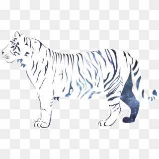 Png Image Information - White Tiger Png Hd, Transparent Png