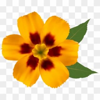 Yellow Flower Png Clipart Image - Yellow Flower Clipart Transparent, Png Download