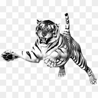 Free Png Download Jumping Tiger Png Images Background - White Tiger Transparent Background, Png Download