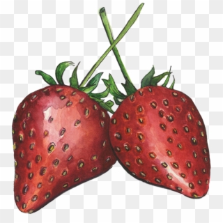 Strawberries - Strawberry, HD Png Download