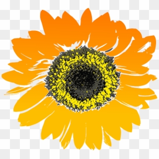Sunflower, Flower, Yellow, Orange - Sunflower Drawing No Background, HD Png Download