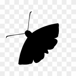 Moth Radio Hour Logo, Moth Silhouette - Moth Radio Logo, HD Png Download