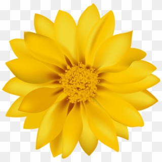Free Png Yellow Flower Transpa Png Images Background - Flowers Png, Transparent Png