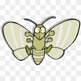 Moth Png Picture - Cartoon Moth, Transparent Png