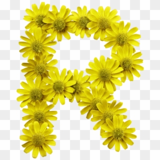 Yellow Flowers Font - Flower Letters Png, Transparent Png