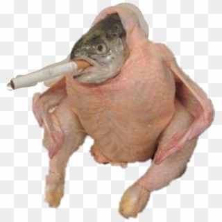 Fish In Chicken Smoking, HD Png Download