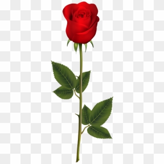 Red Rose With Stem Png Transparent Clip Art Image - Png Gulab Ka Phool, Png Download