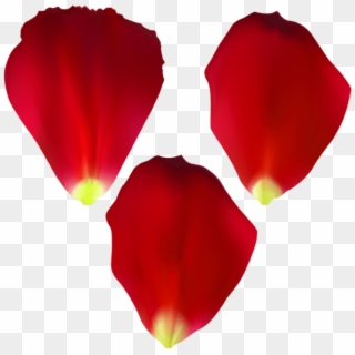 Free Png Download Rose Petals Set Transparent Png Images - Rose Petals Clipart, Png Download