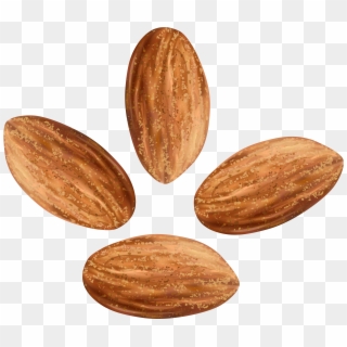 Almonds Transparent Clip Art Image - Almond Nuts Png, Png Download
